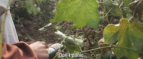 Behind Taliban Lines