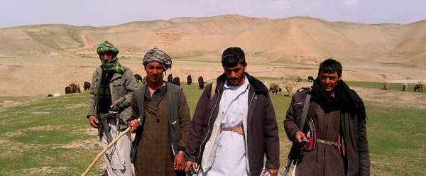 Fighting For Bin Laden