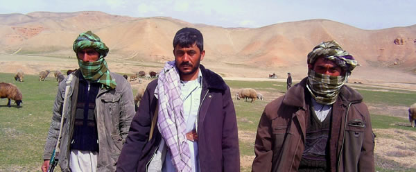 Fighting For Bin Laden